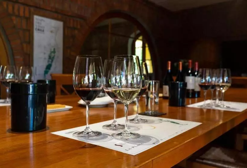 Viña La Playa Hotel & Winery