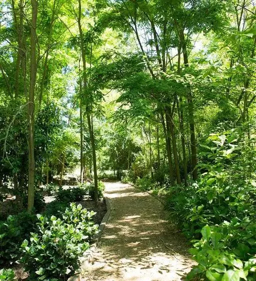 Viña La Playa Hotel & Winery