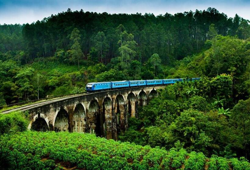 הוסטל Nature Village Inn