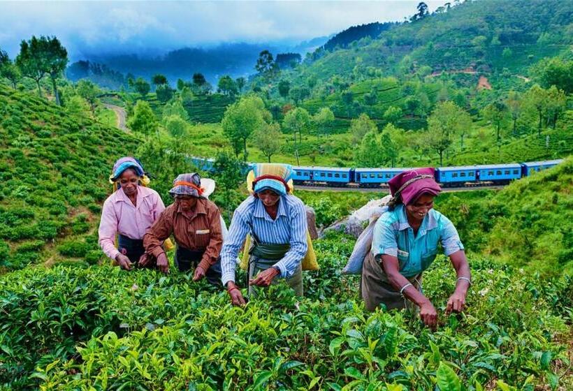 הוסטל Nature Village Inn