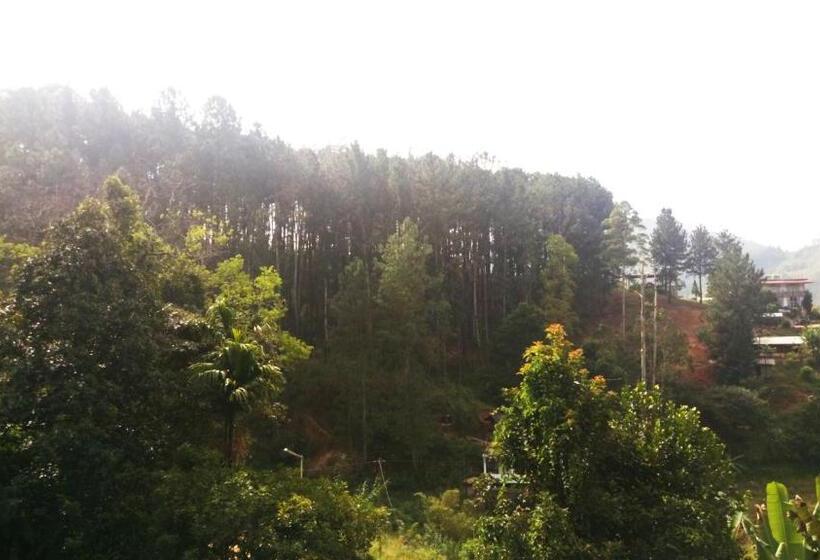 הוסטל Nature Village Inn