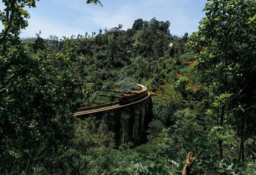 펜션 Ella Green Stay