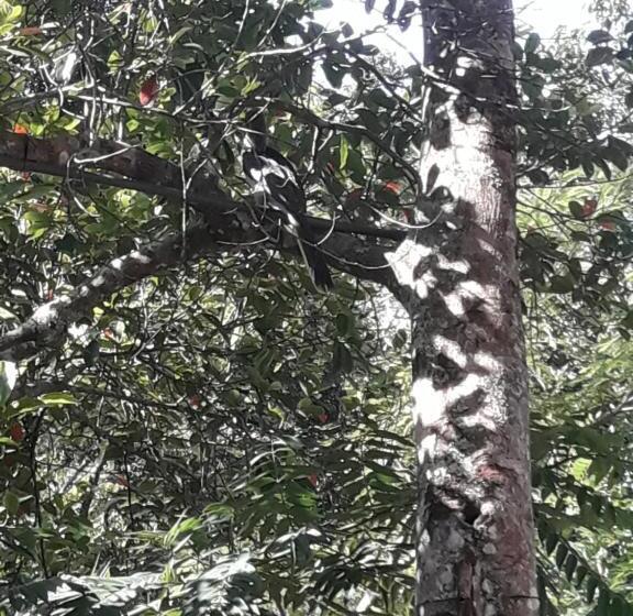 펜션 Ella Green Stay