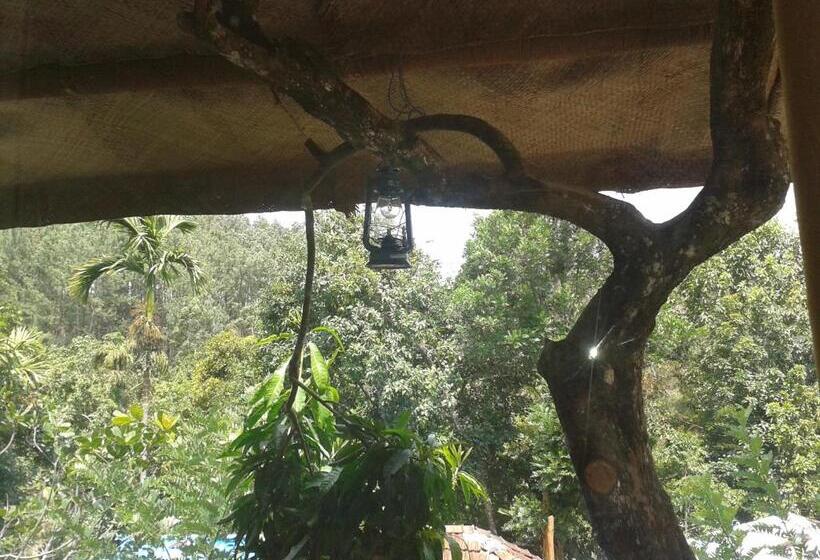 펜션 Ella Green Stay