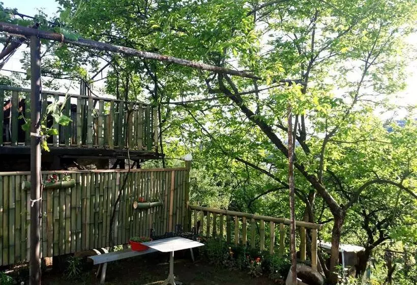 پانسیون Nature House