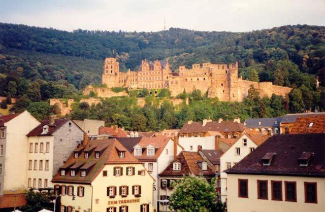 منتجع Holiday Park  Robinson