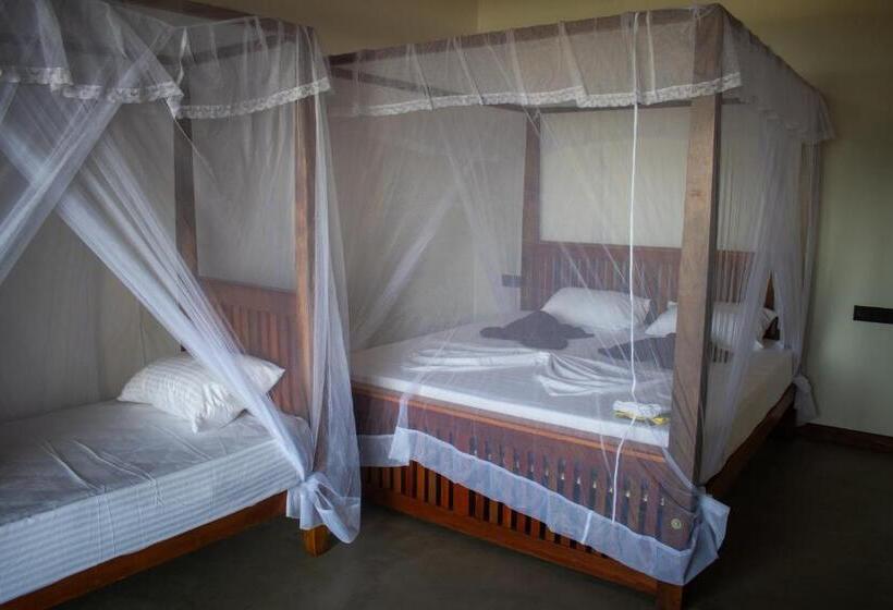 استراحتگاه The Green Rooms Surf & Yoga Camp   On The Beach   Prime Location Renovated 2024