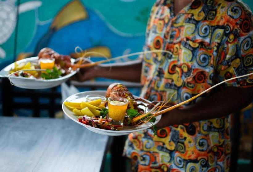 استراحتگاه The Green Rooms Surf & Yoga Camp   On The Beach   Prime Location Renovated 2024