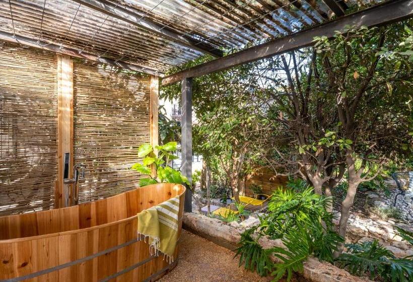 בית מלון כפרי Alegra Boutique