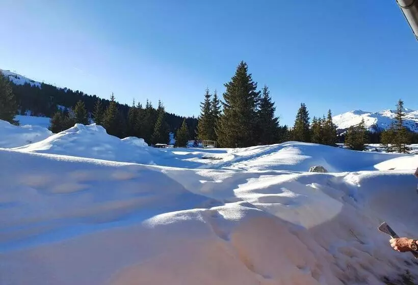 酒店 Appartement Pension Bäckenhäusl Ferienwohnungen Chalets Hütten Komfortzimmer