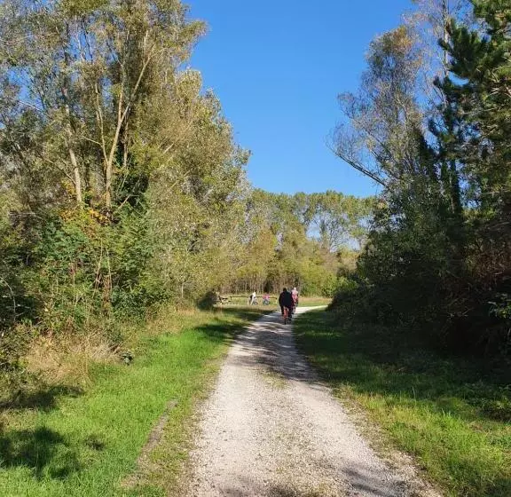 酒店 Appartement Pension Bäckenhäusl Ferienwohnungen Chalets Hütten Komfortzimmer