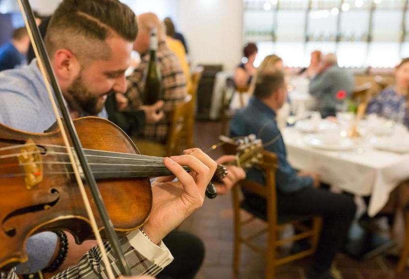 Hotel Borbarátok Panzió