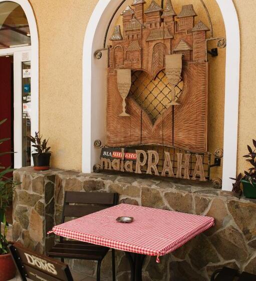 酒店 Mala Praha