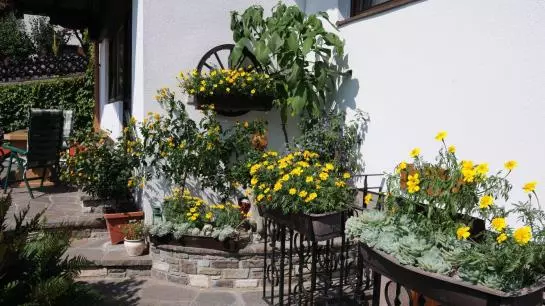 Bed and Breakfast Pension Gisela