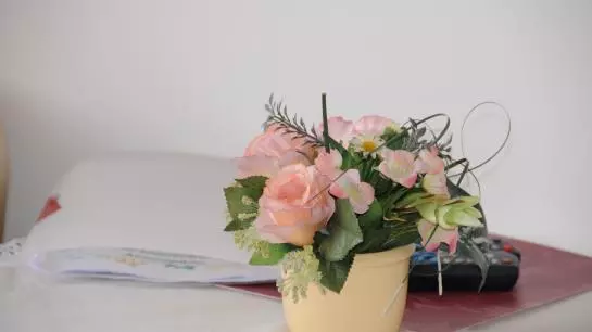 Bed and Breakfast Pension Gisela