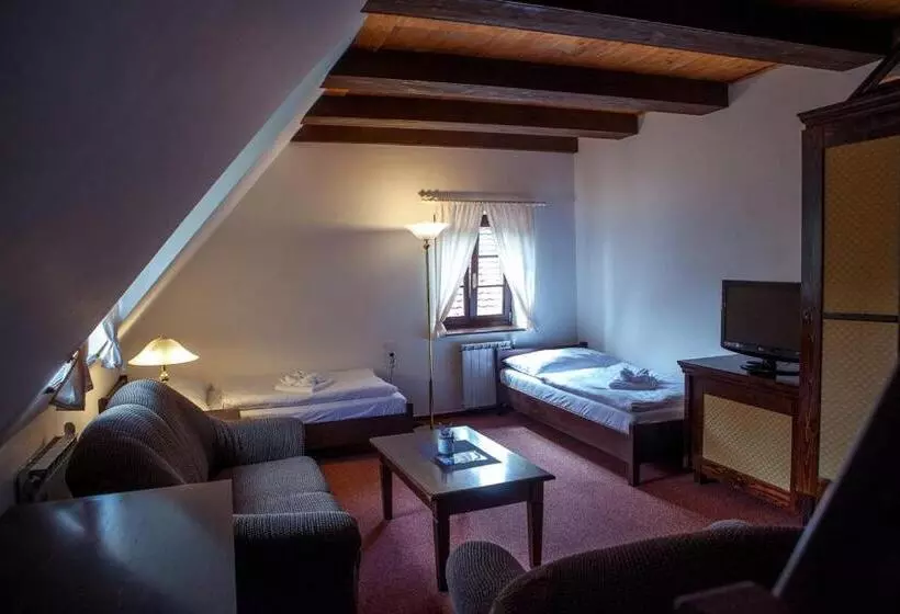 فندق Penzion šiškův Mlýn