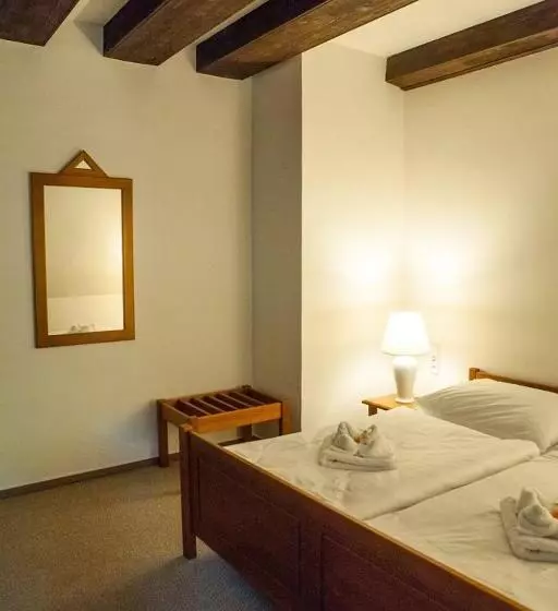 فندق Penzion šiškův Mlýn