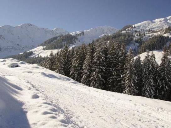 בית מלון כפרי Schatzberg Haus