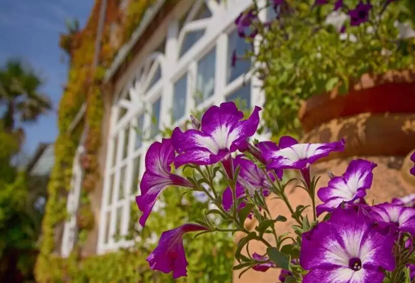 酒店 Villa Maremonti