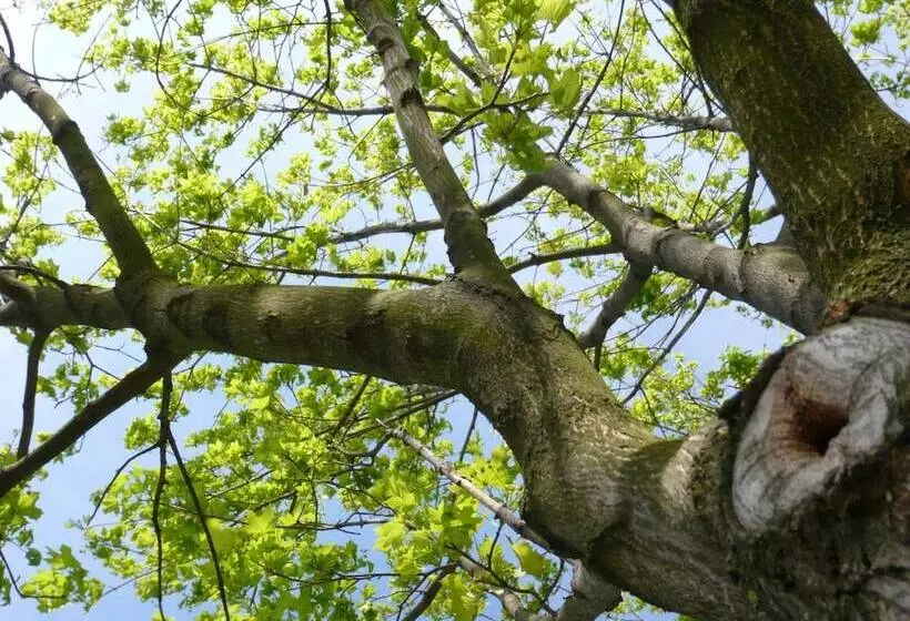 펜션 Good Rooms Gmbh Guntramsdorf