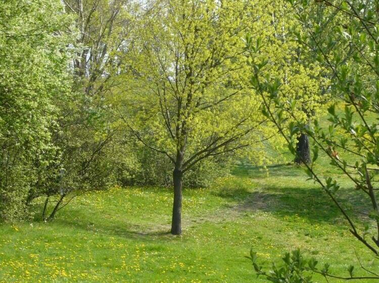 膳宿费 Good Rooms Gmbh Guntramsdorf