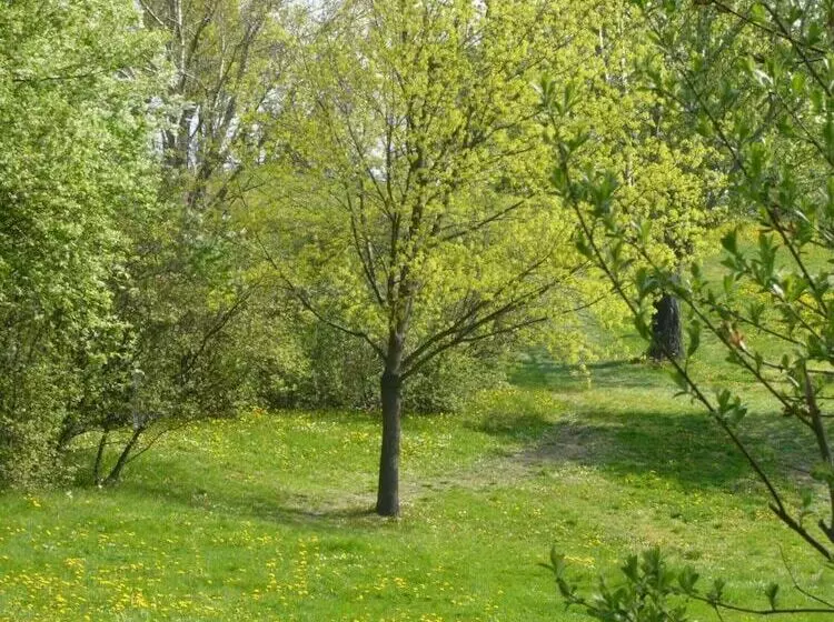 펜션 Good Rooms Gmbh Guntramsdorf