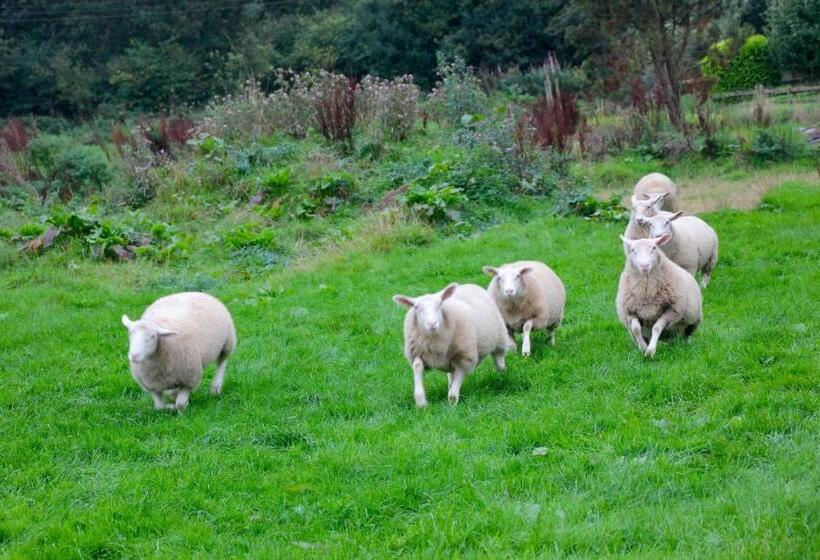 Barton Gate Farm B&b