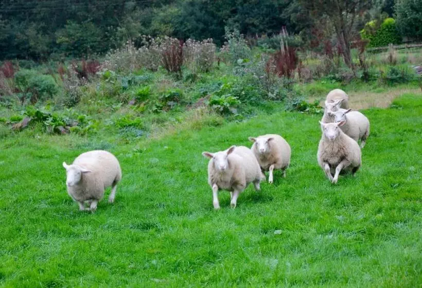 Barton Gate Farm B&b