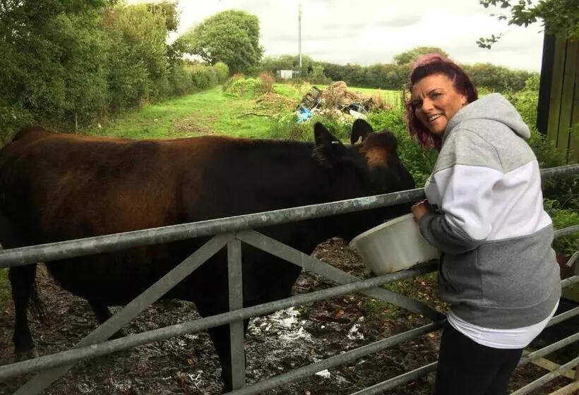 Barton Gate Farm B&b