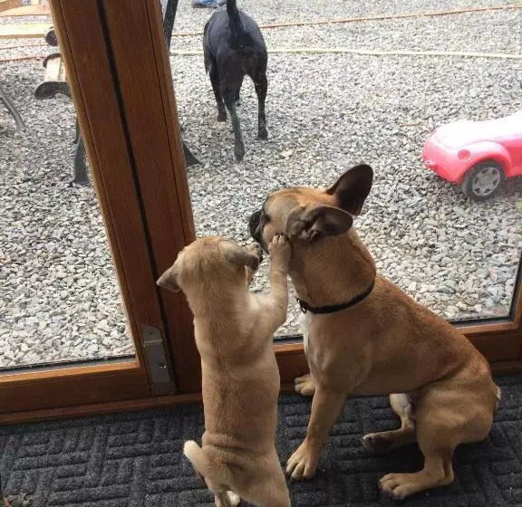 Barton Gate Farm B&b