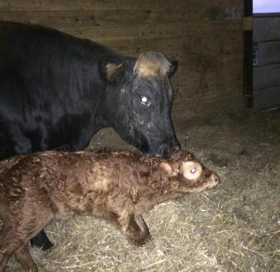 Barton Gate Farm B&b