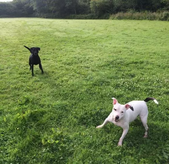 Barton Gate Farm B&b