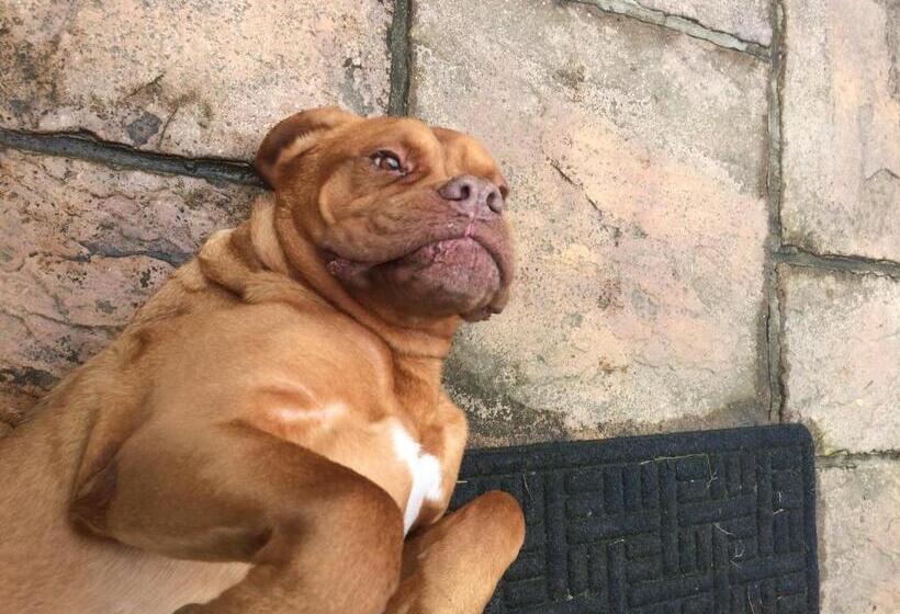 Barton Gate Farm B&b