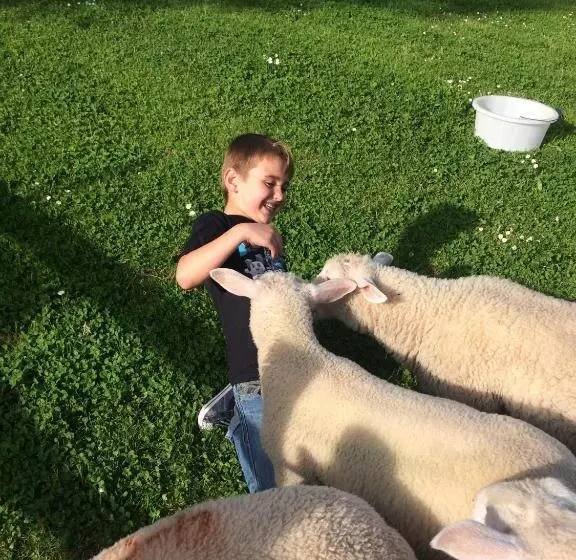 Barton Gate Farm B&b