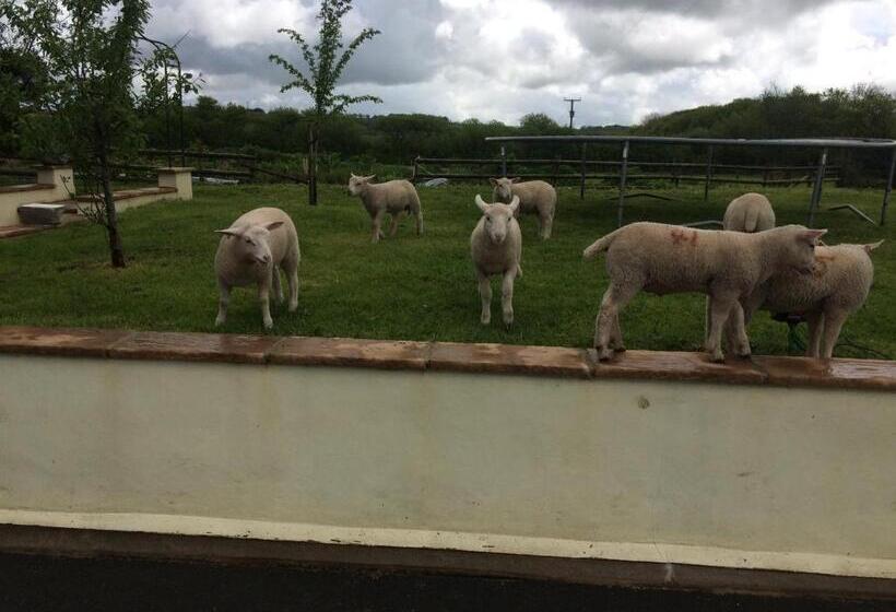 Barton Gate Farm B&b