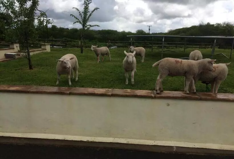 Barton Gate Farm B&b