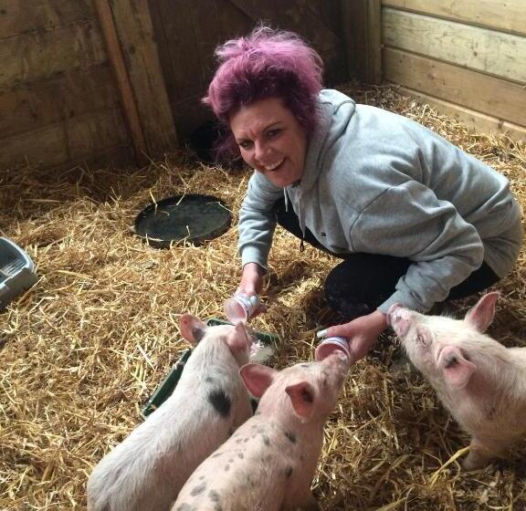 Barton Gate Farm B&b