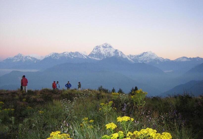 پانسیون Peace Eye Guest House