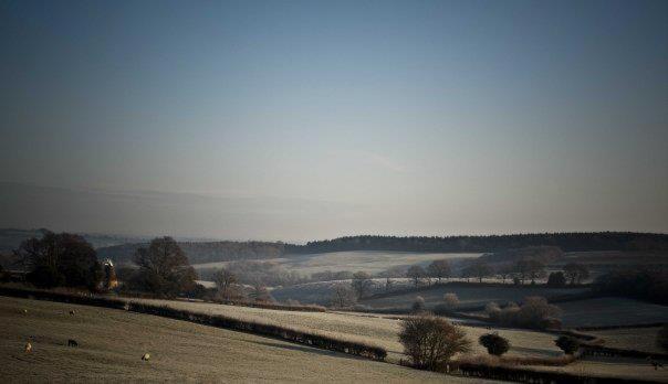 הוסטל The George Inn