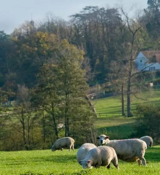 Retkeilymaja The George Inn