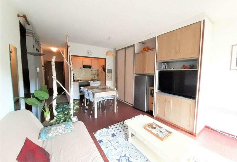 Studio Confort 4 Personnes Avec Balcon, Parking Et Casier à Ski   Saint Lary Soulan   Fr 1 457 305