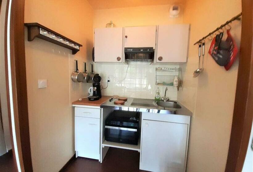 Studio Confort 4 Personnes Avec Balcon, Parking Et Casier à Ski   Saint Lary Soulan   Fr 1 457 305