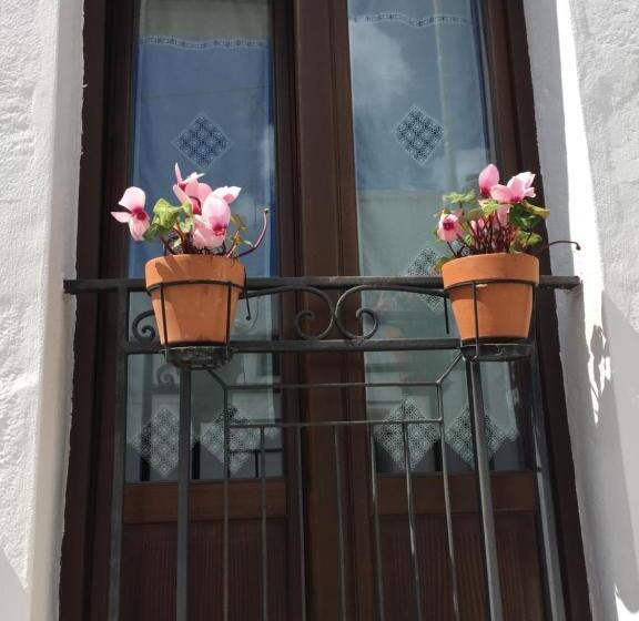 פנסיון Trullo Dell’antica Fileria