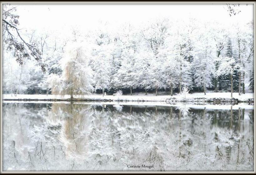 Отель Restaurant Des Lacs