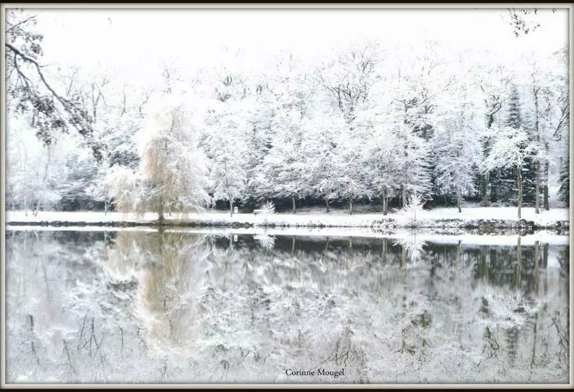 Hotelli Restaurant Des Lacs