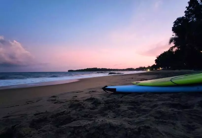 هتل Surf Beach