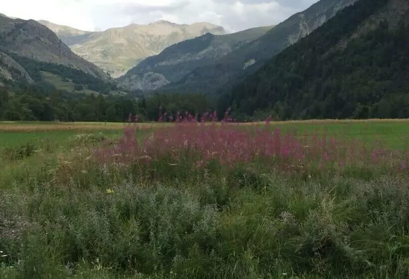 Appart Très Ensoleillé 5 6 Pers Au Pied Des Pistes