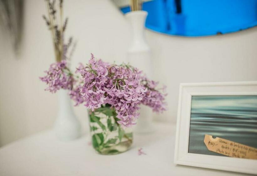 Mayson Room Bw Boutique