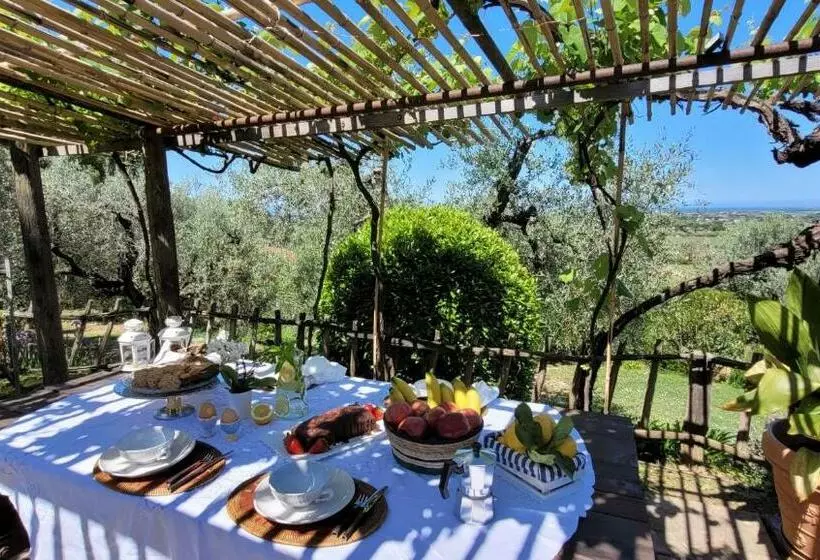 Agriturismo Villa Carducci