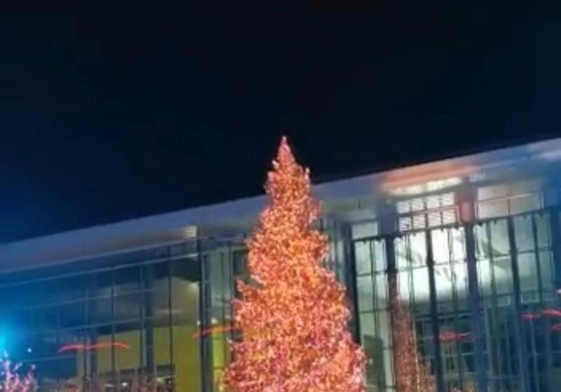 Die Wolfs Burg 50qm & Zentrumsnah